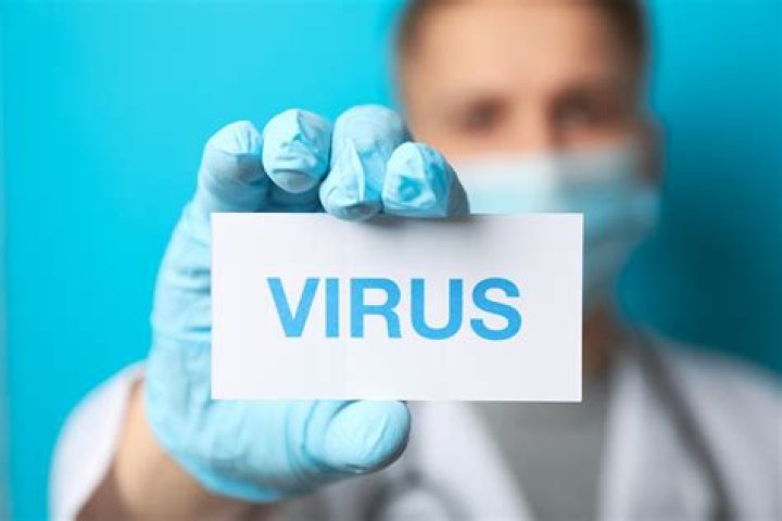 Di&eacute; virus het sanger Rudi Claase platgetrek Netwerk24