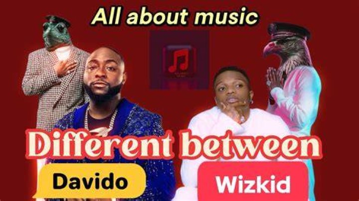 Differences between Wizkid and Davido Opinion Lucipost