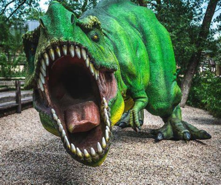 Dinosaur Photo, Dinosaur Park, Dinosaur Images, Dinosaur Pictures