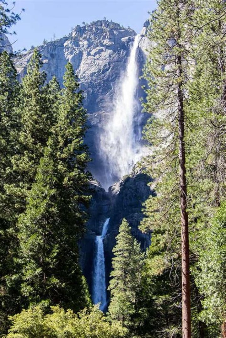 Discover the Tallest Waterfall in Tennessee AZ Animals