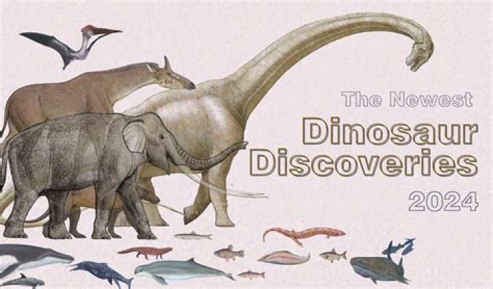 Discoveries And Insights In 2024