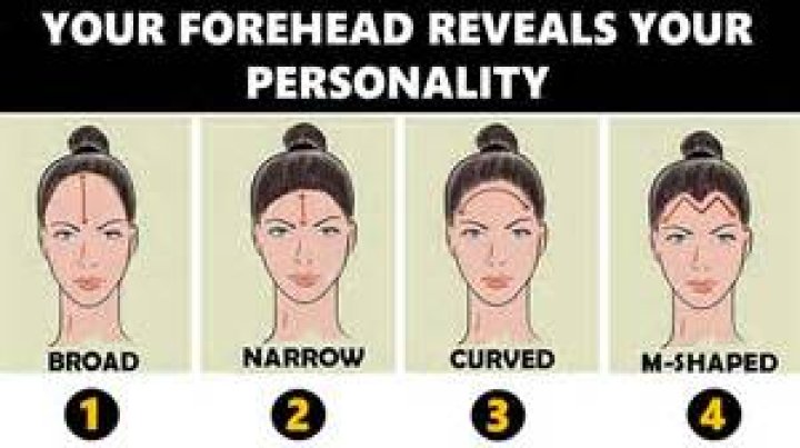 Discoveries And Insights Into The World's Largest Forehead