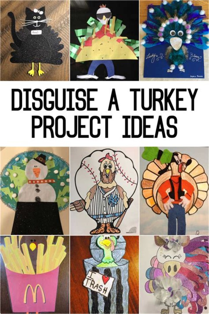 Disguise A Turkey Project Story
