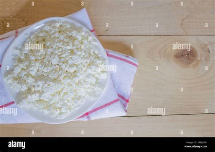 Dish of fresh cottage cheese Free Stock Image