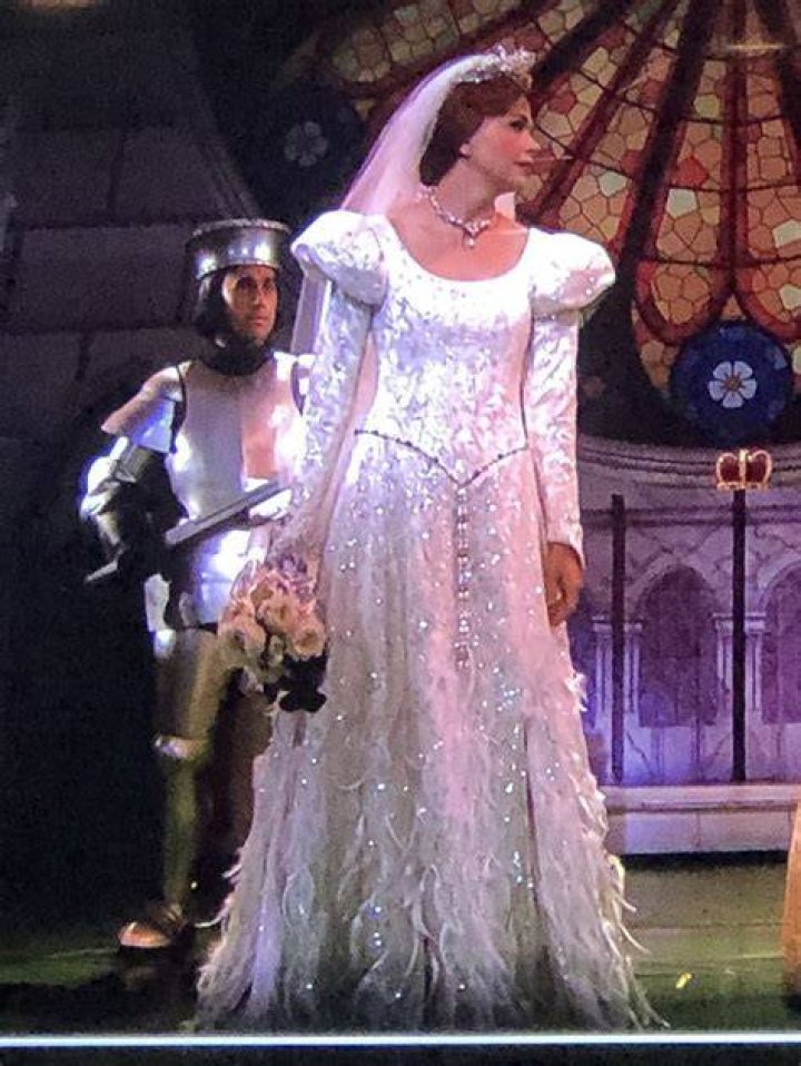 Disneys Shrek Princess Fiona Wedding Dress ubicaciondepersonas.cdmx
