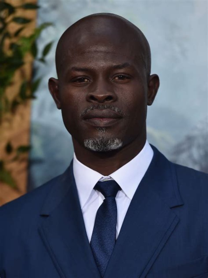Djimon Hounsou Net Worth Wiki, Age, Weight and Height, Relationships