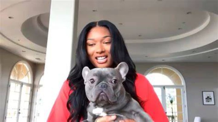Does Megan Thee Stallion Have a Brother? Seth Rogen Finds Out the