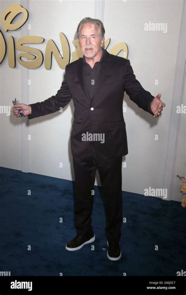 Don Johnson Professional Actor, Producer, Director, Singer and