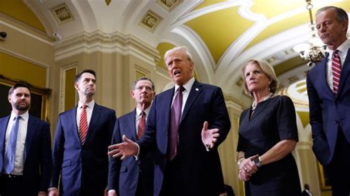 Donald Trump and senators are latest signs we need candidate age caps