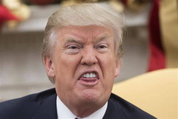 Donald Trump, born in Year of the Dog, faces a fiery 12 months, Chinese