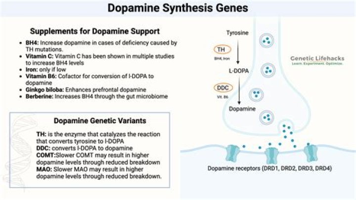 Dopamine Girl savaschultz kmx8Xnve9xY