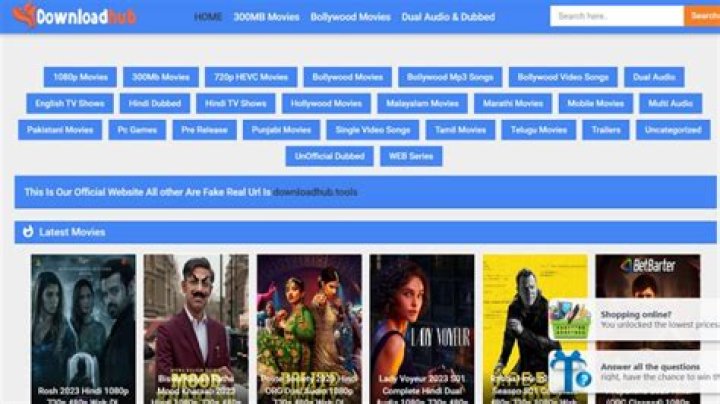 Downloadhub 2021 Get Latest Bollywood HD Movies In 300 MB