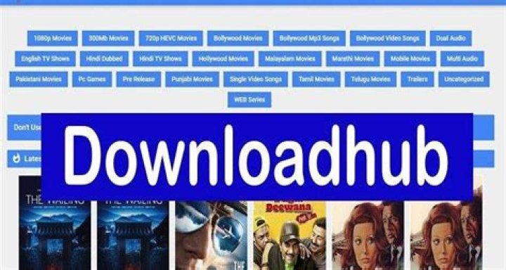 Downloadhub 300MB Dual Audio Movies 480P 720P 9XMovies HEVC