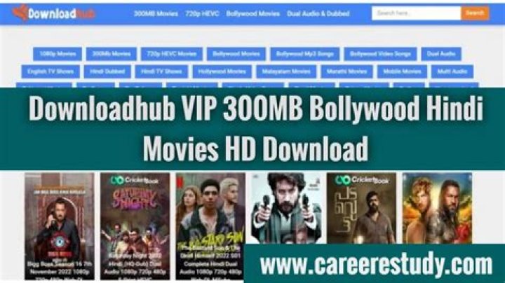 Downloadhub 300MB Hollywood Bollywood Tamil Telugu Kannada Dual Audio