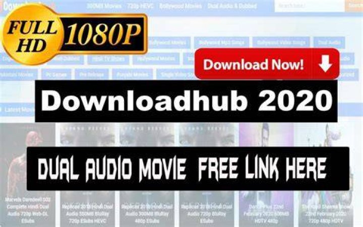 Downloadhub Movies 300MB Dual Audio Bollywood Movies Download