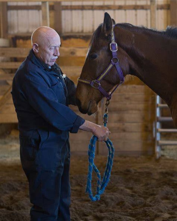 Dr. Jan Pol: The Heartwarming Veterinarian Of Our Time