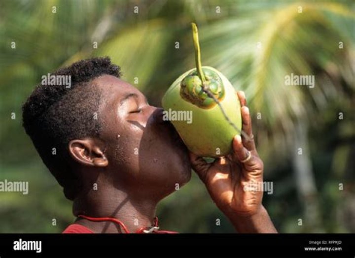 Drinking coconut milk, National Park Punta Sal, Honduras, Stock Photo