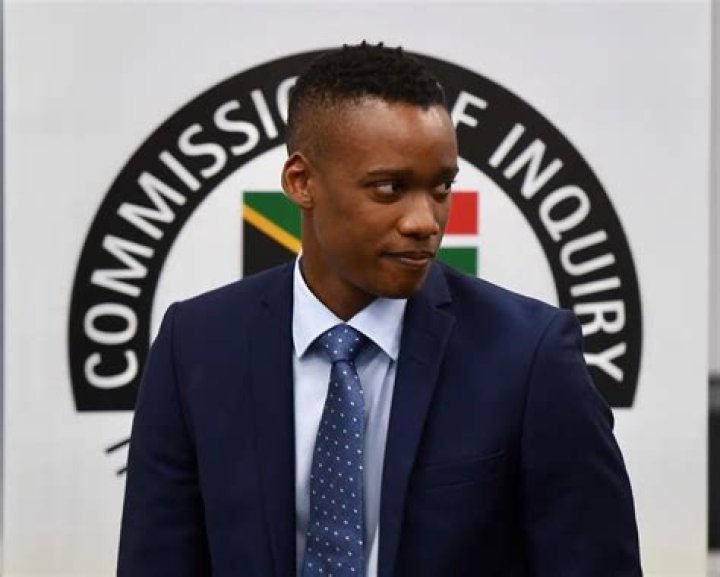 Duduzane Zuma lied to Zondo commission Thuli Madonsela News24