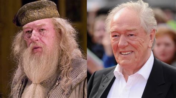 Dumbledore actor Michael Gambon's longterm lover with whom he had two