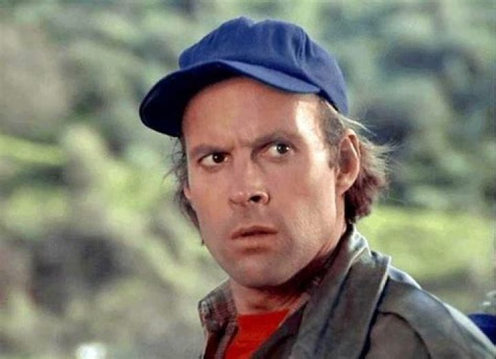 Dwight Schultz' Life & Career &mdash; What the 'ATeam' Star Is Known For
