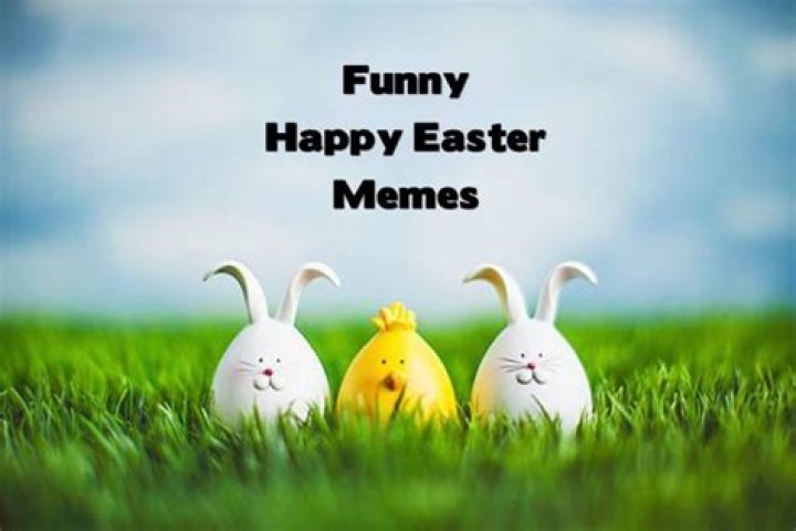 Easter Meme Funny Easter Quotes Event Of The Christian Community