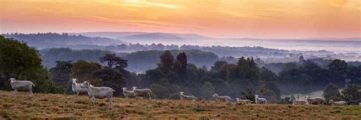 Ed compton hires stock photography and images Alamy