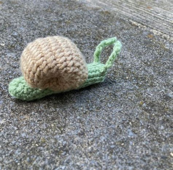 Edward the Snail Amigurumi Etsy