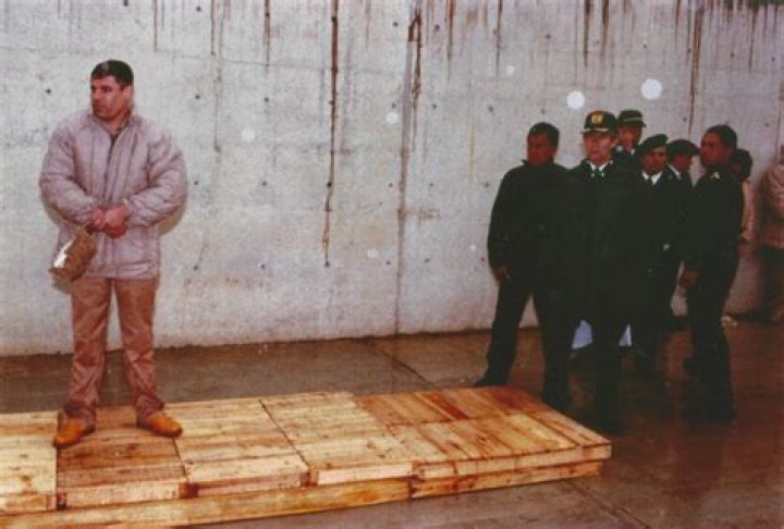 El Chapo's sons, known as Los Chapitos, subjects of massive bounty as