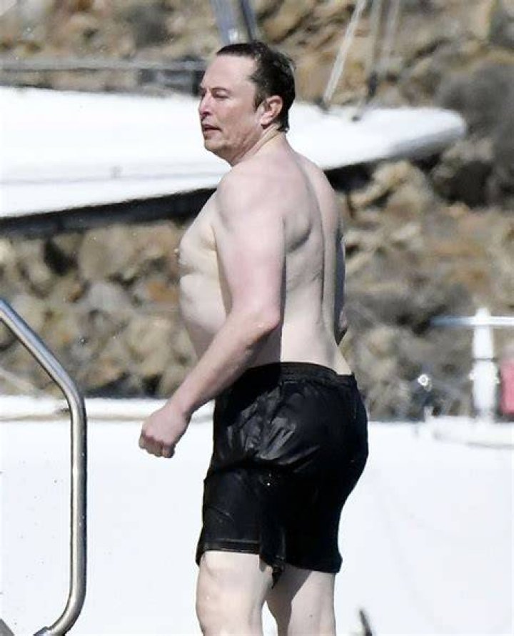Elon musk shirtless pic from greece gone viral TIme News