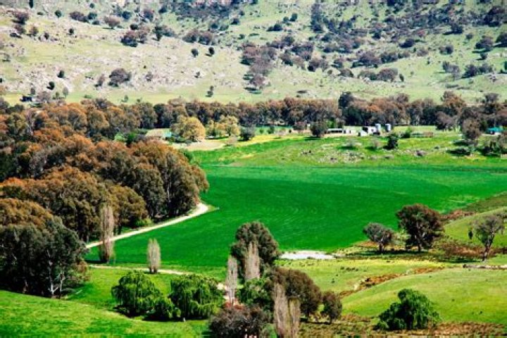 Eurimburra, REIDS FLAT NSW 2586 Genuine leaders in specialist property