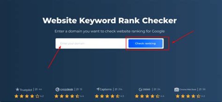 Explore Website Rank Checker My New SEO Tool