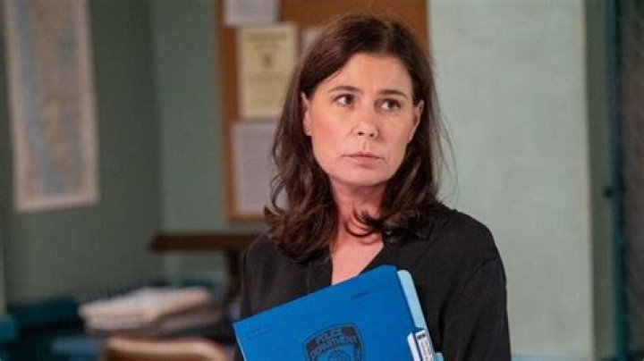 Exploring The Versatile Career Of Maura Tierney, Actress