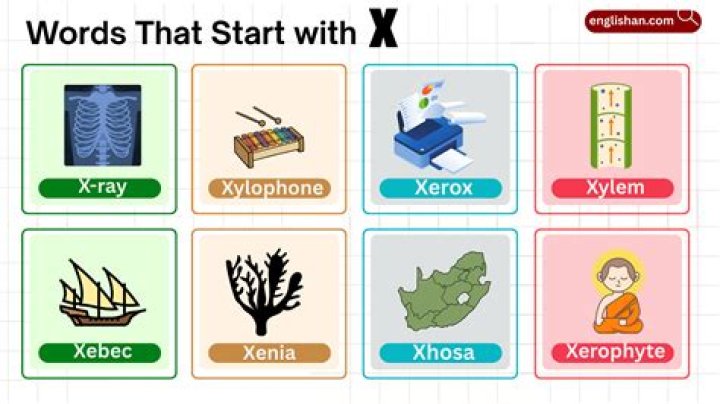 Exploring The World Of Celebs That Start With X