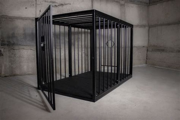 EXTRA LARGE CAGE/ Bdsm Cage Bondage Cage Dungeon Cage Pet Etsy Israel