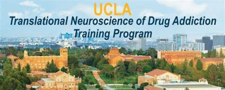Faculty UCLA