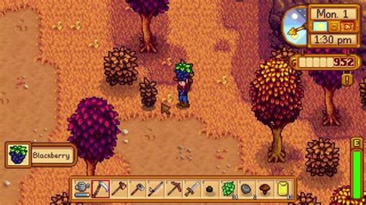 Fall Foraging Stardew Valley (57) YouTube