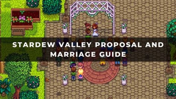 Fan Gets Stardew ValleyThemed Marriage Proposal