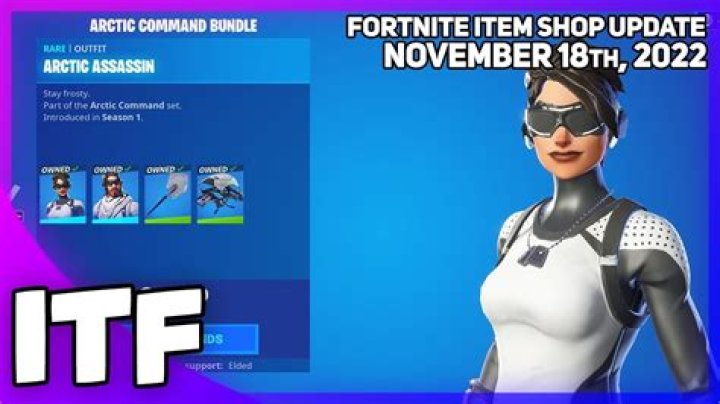 FEARLESS SKIN BUNDLE! Fortnite Item Shop l November 18 2022 YouTube
