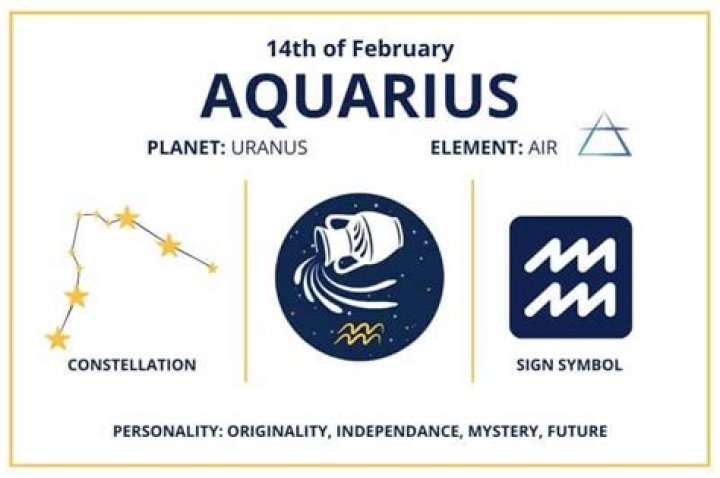 February 14th Zodiac &mdash; Aquarius Traits, Love Life, Career & More
