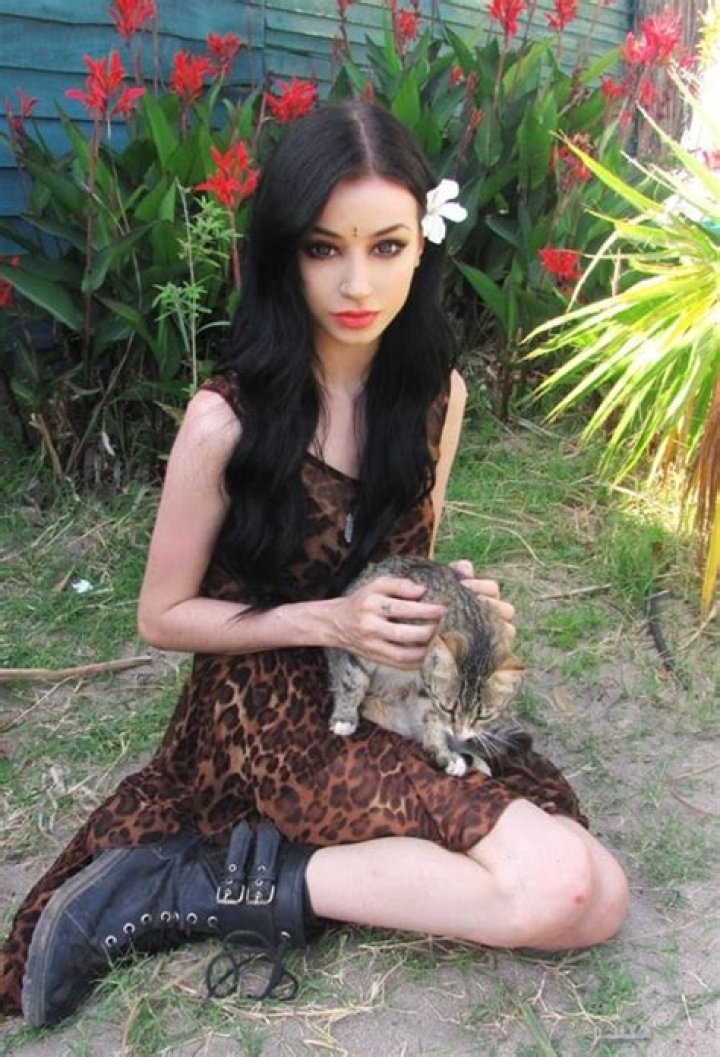 Felice Fawn