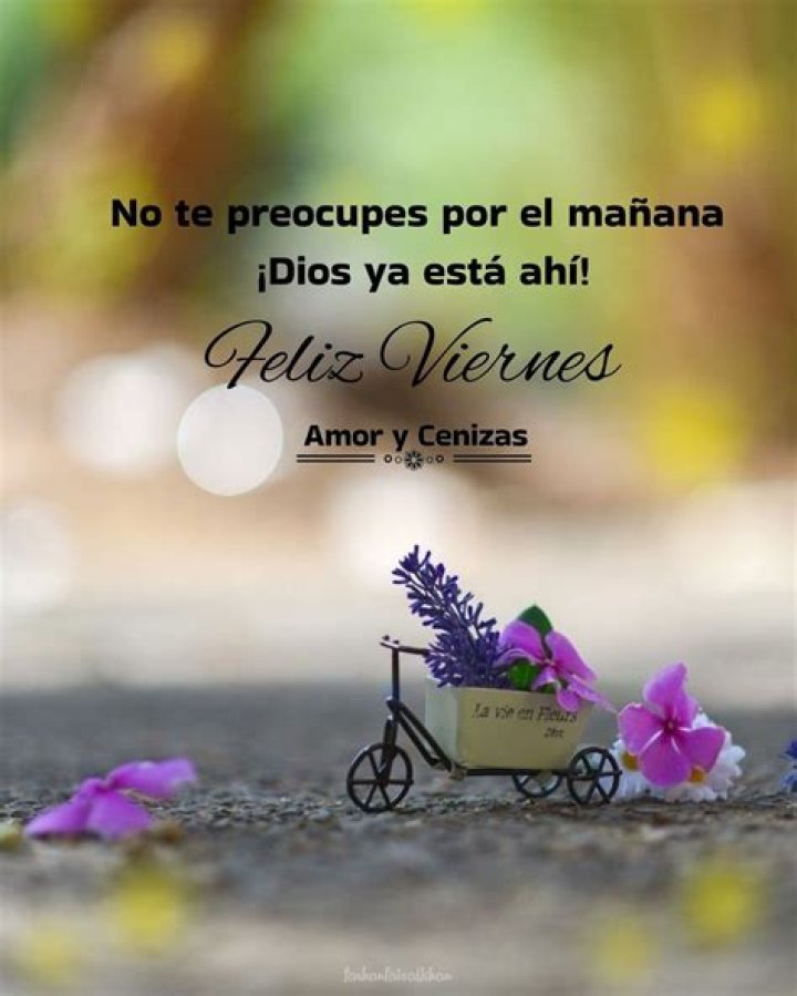 Feliz Viernes &raquo; Im&aacute;genes de Buenos D&iacute;as