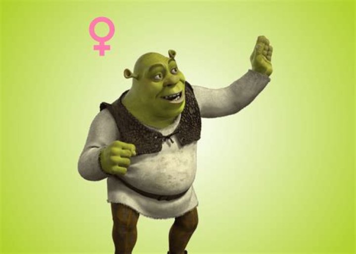 Female Shrek. r/Shrek