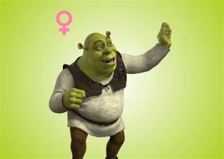 Female Shrek r/teenagers