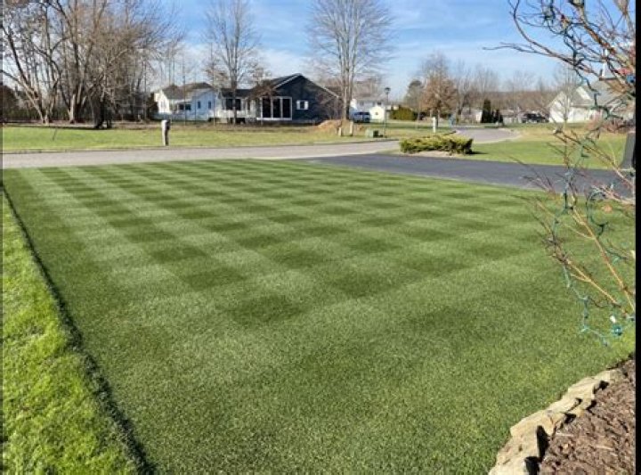 Fescue/Bluegrass Blend Hits Different r/lawncare