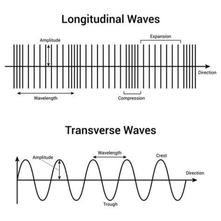Figure 5 from Longitudinal and CrossSectional Evaluation of Two