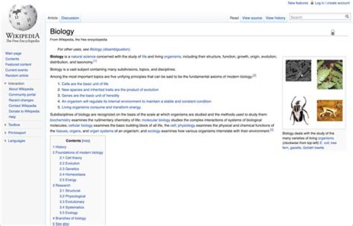 FileDaniel in Venice 2006.png Wikipedia, the free encyclopedia