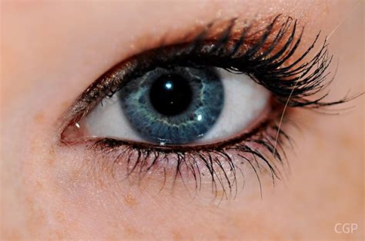 FileHuman eye blue.JPG Wikimedia Commons