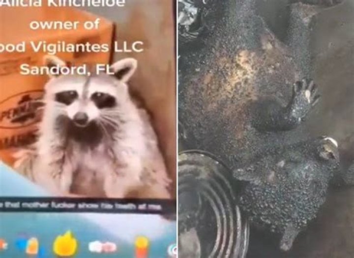 Florida Father Daughter Arrested After Snapchat Video Shows Them