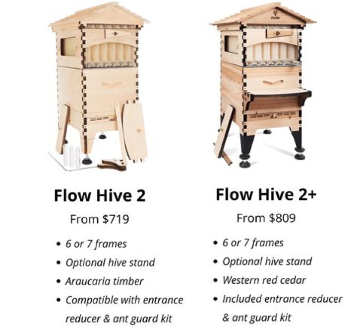 Flow Hive Review A Brutally Honest Guide That'll Save You Money