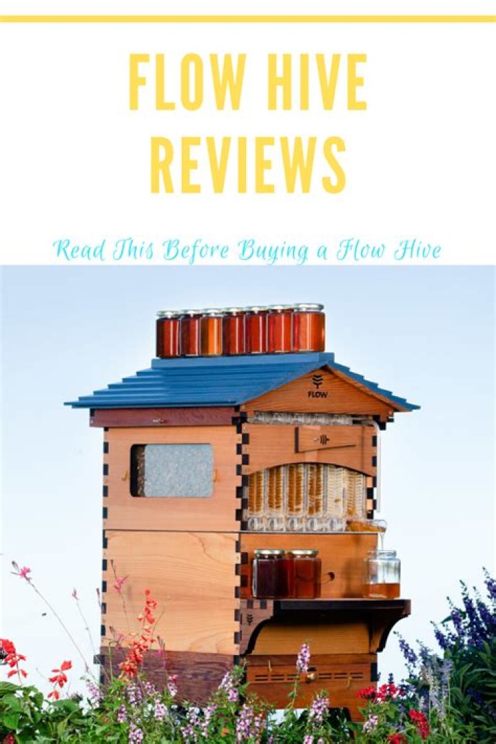 Flow Hive Reviews Read This Before Buying a Flow Hive Complete Beehives